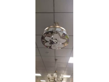 Ceiling Fan Light 9812